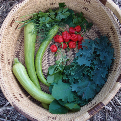 5 tips for growing your own veggies to save on your food bill
