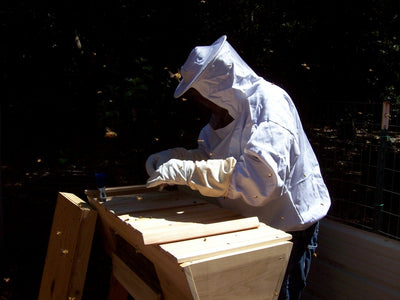 Getting started with beekeeping - with Vickie from Making Our Sustainable Life