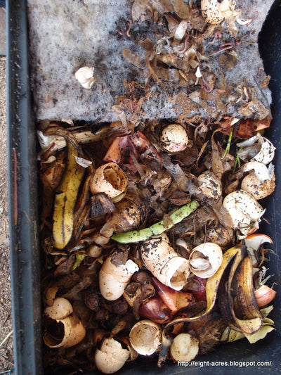 Worm farm compost
