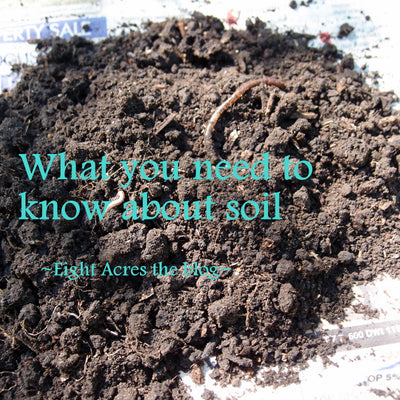 What you need to know about soil