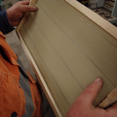 Beginner beekeeper: Wiring frames and foundation