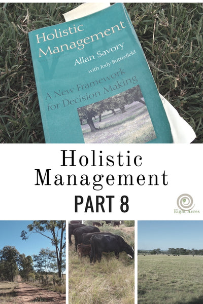 Holistic management - part 8: practical guidelines