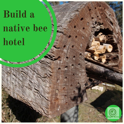 How to make a native bee hotel