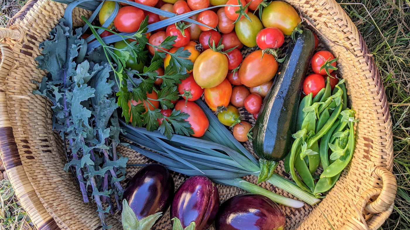 Eight Acres the blog Eight Acres Natural Living