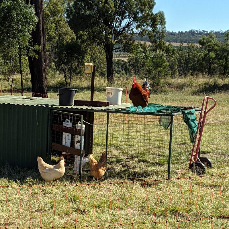 Eight Acres the blog Eight Acres Natural Living